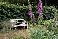 Seating area in the Kitchen Garden with Digitalis - Foxglove. 