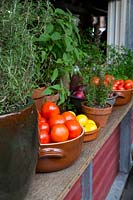 A bowl of ripe Tomato fruit on a timber counter top surrounded by fresh herbs in pots
