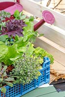 Materials and tools required to make an edible crate planter