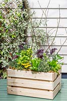 Edible Crate - wooden crate planted with herbs, vegetables and flowers