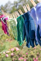 Newly washed gardening gloves hanging on line to dry