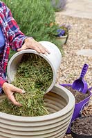 Woman adding grass clippings to large plastic planter