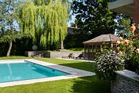 Modern garden with swimming pool
