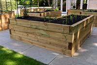 Raised beds made out of modern wooden sleepers, on paved surface, recently-planted with vegetables