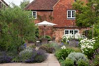 View over mixed beds with Lavandula angustifolia 'Hidcote' - Lavender, Santolina and Hydrangea 'Annabelle' set within courtyards garden with seating area in front of house