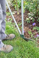Woman using lawn edging shears to trim long grass at the edge of a border