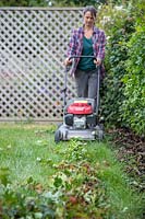 Woman using a bagged rotary lawn mower to chop and collect hedge trimmings from a lawn