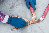 Woman wearing protective gloves and using wire wool and oil to clean up an old pair of lawn edging shears