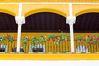 Looking up at balconies with pots of Pelargonium attached to metal railings on white and yellow painted stucco archways