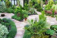 Wide paved pathways and circular patios provide easy access to a garden of foliage beds. Plants include: Trachycarpus fortunei - Palm, Tetrapanax papyrifer, edging of Lavandula - Lavender, Pittosporum, pencil conifers, Hebes, Phormium, Hydrangea villosa and Cercis canadensis