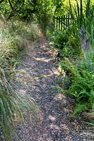 Dappled shade on the gravel pathway leading to the picket gate, bed with Stipa arundinacea and Dryopteris filix-mas