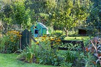 Informal country garden with Rudbeckia fulgida var. sullivantii 'Goldsturm', wooden gate, chicken run and bench with trees beyond  