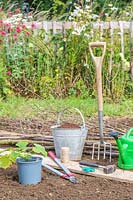 Tools and materials required to make a hazel pole support for a butternut squash plant