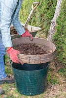 Woman sieving garden compost into plastic trug using large garden sieve. 