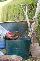 Woman with handful of sieved homemade compost. 