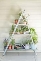 Ladder shelving unit against wooden wall