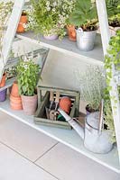 Potted plants and garden tools on ladder shelving unit against wooden wall