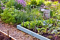 Raised beds with herbs and vegetables. 