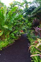 A path made of compressed bark chips going through a tropical garden, featuring Bromeliads, Cordylines and Heliconias.