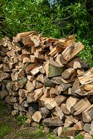 Stack of split logs for firewood - Open Gardens Day, Topcroft, Norfolk