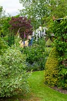 Path through establised borders of shrubs, perennials and mature trees - Open Gardens Day, Cratfield, Suffolk