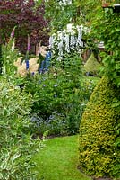 Path through establised borders of shrubs, perennials and mature trees - Open Gardens Day, Cratfield, Suffolk