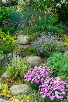 Planting in rock border including Thymes, Dianthus and Grasses - Open Gardens Day, Friston, Suffolk