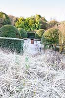 View of formal garden, with large mounds of Osmanthus burkwoodii and central bird bath. 