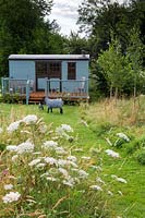 The shepherd's hut with wooden veranda, in front two wire sheep sculptures on grass. In foreground wildflowers Daucus carota - Wild Carrot and Centaurea scabiosa - Greater Knapweed.