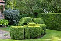 The ' bun of boxes', Buxus sempervirens - Box -, next to the Taxus - Yew -hedge. In the background is a pot of Hosta 'Sum and Substance' and Rosa glauca.