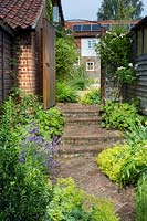 Brick pathway with shallow steps next to the barn leading to the road, edged with Alchemilla mollis, Lavandula 'Munstead' - Lavender