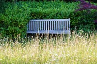 Wooden bench at the edge of The Meadow. Veddw House Garden, Monmouthshire. June