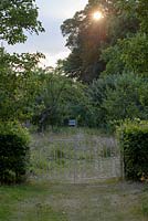 Ornamental gates to long grass area with fruit trees in the evening light