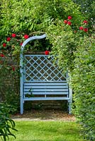 Rosa 'Dublin Bay' - Climbing Rose - growing over a blue wooden painted seat 