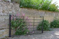 Metal entrance gate with Centranthus ruber - Red Valerian - against old brick wall