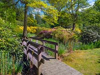 Wooden footbridge over stream. How Hill Secret Garden, Norfolk Broads, UK.
