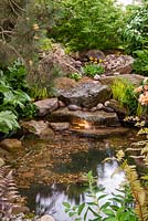 Water cascading over boulders into illuminated pool, surrounded by Acers, Pines, Fatzia, Ferns and Grasses - RHS Chelsea Flower Show