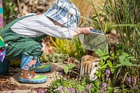 Young toddler looking into insect hotel in sensory garden