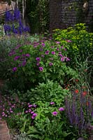 Border in small paved courtyard garden with Geranium psilostemon. 
