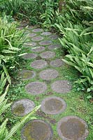 Path of circular paving, ferns on either side