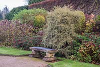 Classical seat on paved area near path with backdrop of shrubs including Hydrangea and Fuchsia