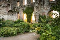 The Garden in the Ruins at Lowther Castle, planted with a range of shade loving plants including ferns, epimediums and hydrangeas.