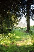 Lowther Castle, Penrith, seen from inside a wooded area of the garden