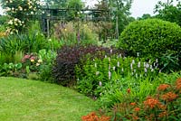 Densely planted border of shrubs and herbaceous plants with Rose pergola beyond - Open Gardens Day, Earl Stonham, Suffolk