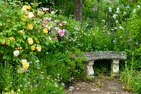 Stone seat alongside yellow Rose 'Graham Thomas' with variety of herbaceous plants in border behind - Open Gardens Day, Earl Stonham, Suffolk