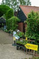 Entrance to Woodwards garden opened in aid of the National Gardens Scheme - NGS - with trolley of plants for sale - Open Gardens Day, Coddenham, Suffolk