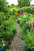 Long narrow cottage garden with brick path through dense herbaceous borders - Open Gardens Day, Coddenham, Suffolk