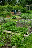 Allotment beds with wooden walkway and protective cages - Open Gardens Day, Coddenham, Suffolk