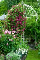 Path leading into decorative metal gazebo, adorned with Clematis 'Madam Julia Correvon' and scented planting of pink rose bush, white carnations and blue geraniums alongside path - Open Gardens Day, Double Street, Framlingham, Suffolk