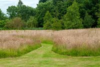 Swathes of tall grasses left for the benefit of wildlife and insects - Open Gardens Day, Kelsale, Suffolk